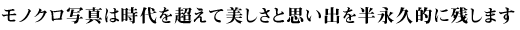 ���m�N���ʐ^�͎���𒴂��Ĕ������Ǝv���o�𔼉i�v�I�Ɏc���܂�